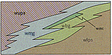 Stratigraphic relationships of lithofacies of Wissahickon   (Late Precambrian ?)