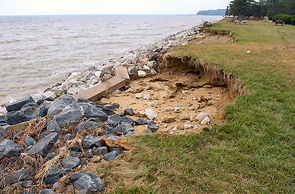 Shore erosion was spotty and irregular. Chesapeake Bay, Anne Arundel Co. [2]