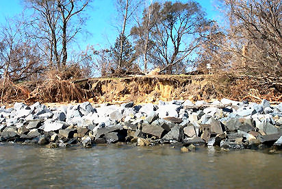 Bank erosion due to vertical expansion of zone of wave influence. St. Clements I., Potomac R., St. Mary's Co. [10]