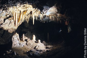 Winders Cave (photo by Dennis Slifer)